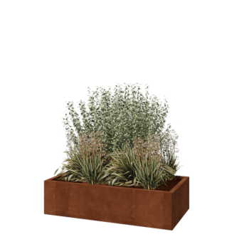 Cortenstaal plantenbak - Rechthoek - 120 x 60 x 30 cm - Zonder bodemplaat