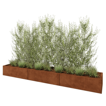 Cortenstaal plantenbak XXL - Rechthoek - 300 x 50 x 30 cm - Met bodemplaat