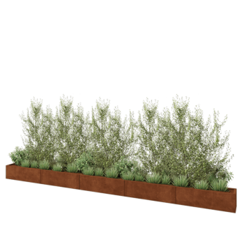 Cortenstaal plantenbak XXL - Rechthoek - 500 x 30 x 30 cm - Zonder bodemplaat