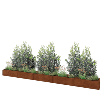 Cortenstaal plantenbak XXL - Rechthoek - 500 x 50 x 30 cm - Zonder bodemplaat