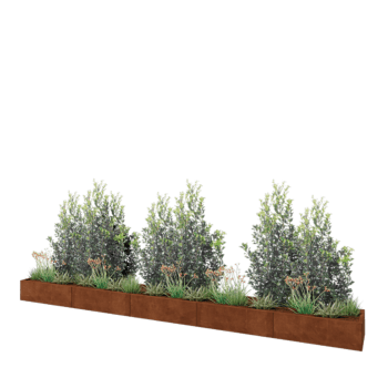 Cortenstaal plantenbak XXL - Rechthoek - 500 x 50 x 30 cm - Zonder bodemplaat