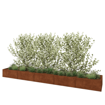 Cortenstaal plantenbak XXL - Rechthoek - 500 x 80 x 40 cm - Zonder bodemplaat