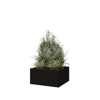 Stalen plantenbak - Vierkant - 60 x 60 x 30 cm - RAL9005 mat (zwart) - Zonder bodemplaat