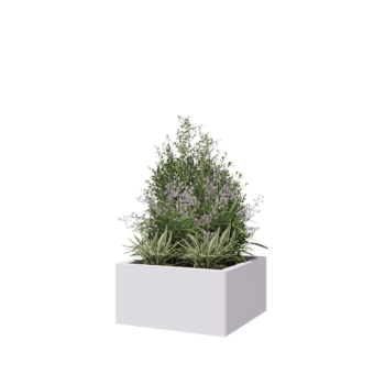 Stalen plantenbak - Vierkant - 60 x 60 x 30 cm - RAL9010 mat (wit) - Met bodemplaat