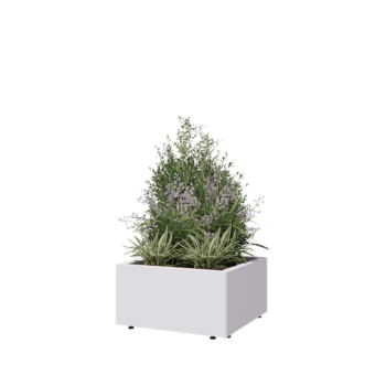 Stalen plantenbak - Vierkant - 60 x 60 x 30 cm - RAL9010 mat (wit) - Met bodemplaat - Met poten