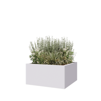 Stalen plantenbak - Vierkant - 80 x 80 x 40 cm - RAL9010 mat (wit) - Zonder bodemplaat