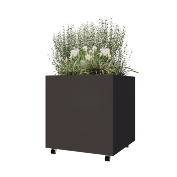 Stalen plantenbak - Vierkant - 80 x 80 x 80 cm - RAL7016 mat (antraciet grijs) - Met bodemplaat - Met wielen