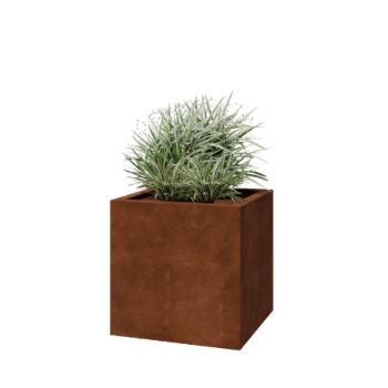 Cortenstaal plantenbak - Vierkant - 60 x 60 x 60 cm - Gelast - Met bodemplaat
