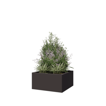 Stalen plantenbak - Vierkant - 60 x 60 x 30 cm - RAL7016 mat (antraciet grijs) - Zonder bodemplaat