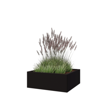 Stalen plantenbak - Vierkant - 80 x 80 x 30 cm - RAL9005 mat (zwart) - Zonder bodemplaat