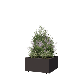 Stalen plantenbak - Vierkant - 60 x 60 x 30 cm - RAL7016 mat (antraciet grijs) - Met bodemplaat - Met poten