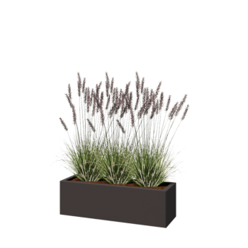 Stalen plantenbak - Rechthoek - 100 x 30 x 30 cm - RAL7016 mat (antraciet grijs) - Met bodemplaat