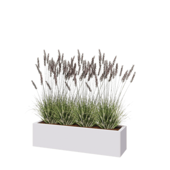 Stalen plantenbak - Rechthoek - 120 x 30 x 30 cm - RAL9010 mat (wit) - Zonder bodemplaat