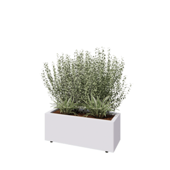 Stalen plantenbak - Rechthoek - 80 x 30 x 30 cm - RAL9010 mat (wit) - Met bodemplaat - Met poten