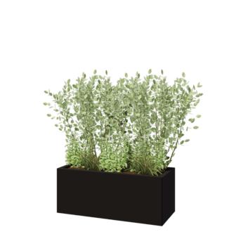 Stalen plantenbak - Rechthoek - 100 x 40 x 40 cm - RAL9005 mat (zwart) - Zonder bodemplaat