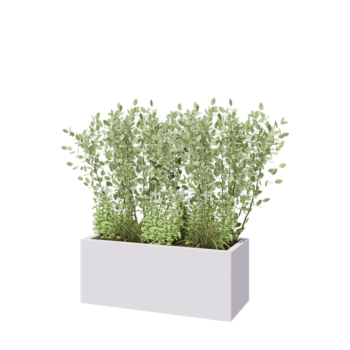 Stalen plantenbak - Rechthoek - 100 x 40 x 40 cm - RAL9010 mat (wit) - Met bodemplaat