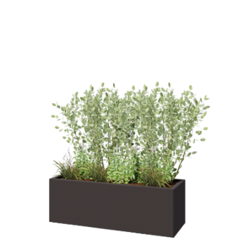 Stalen plantenbak - Rechthoek - 120 x 40 x 40 cm - RAL7016 mat (antraciet grijs) - Zonder bodemplaat