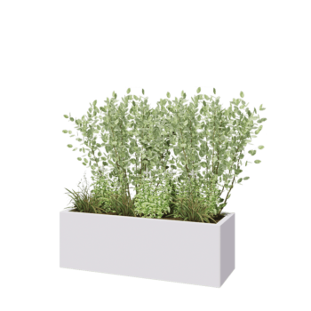 Stalen plantenbak - Rechthoek - 120 x 40 x 40 cm - RAL9010 mat (wit) - Zonder bodemplaat