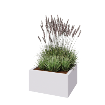 Stalen plantenbak - Rechthoek - 60 x 50 x 30 cm - RAL9010 mat (wit) - Met bodemplaat