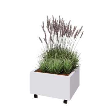 Stalen plantenbak - Rechthoek - 60 x 50 x 30 cm - RAL9010 mat (wit) - Met bodemplaat - Met wielen