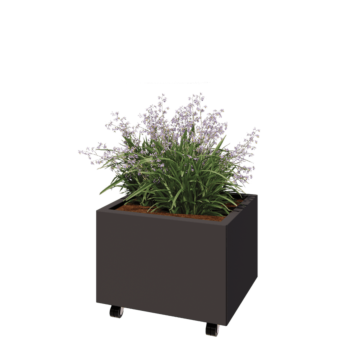 Stalen plantenbak - Rechthoek - 60 x 50 x 40 cm - RAL7016 mat (antraciet grijs) - Met bodemplaat - Met wielen