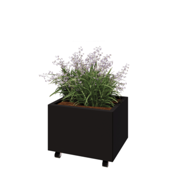 Stalen plantenbak - Rechthoek - 60 x 50 x 40 cm - RAL9005 mat (zwart) - Met bodemplaat - Met wielen
