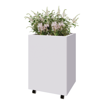 Stalen plantenbak - Rechthoek - 60 x 50 x 80 cm - RAL9010 mat (wit) - Met bodemplaat - Met wielen