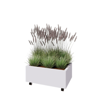 Stalen plantenbak - Rechthoek - 80 x 50 x 30 cm - RAL9010 mat (wit) - Met bodemplaat - Met wielen