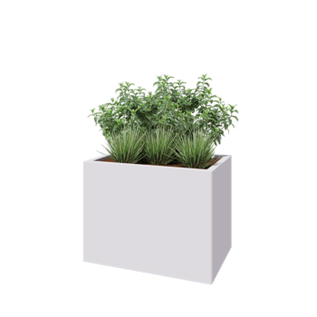 Stalen plantenbak - Rechthoek - 80 x 50 x 60 cm - RAL9010 mat (wit) - Zonder bodemplaat