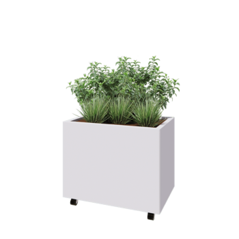 Stalen plantenbak - Rechthoek - 80 x 50 x 60 cm - RAL9010 mat (wit) - Met bodemplaat - Met wielen