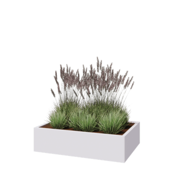 Stalen plantenbak - Rechthoek - 120 x 80 x 30 cm - RAL9010 mat (wit) - Zonder bodemplaat