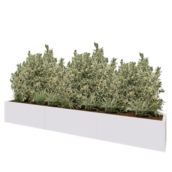 Stalen plantenbak XXL - Rechthoek - 300 x 40 x 40 cm - RAL9010 mat (wit) - Zonder bodemplaat