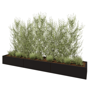 Stalen plantenbak XXL - Rechthoek - 300 x 50 x 30 cm - RAL9005 mat (zwart) - Zonder bodemplaat