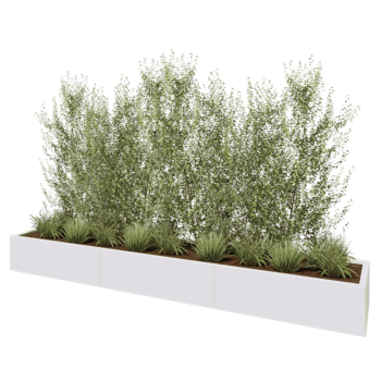 Stalen plantenbak XXL - Rechthoek - 300 x 50 x 30 cm - RAL9010 mat (wit) - Zonder bodemplaat