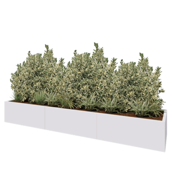 Stalen plantenbak XXL - Rechthoek - 300 x 60 x 40 cm - RAL9010 mat (wit) - Met bodemplaat