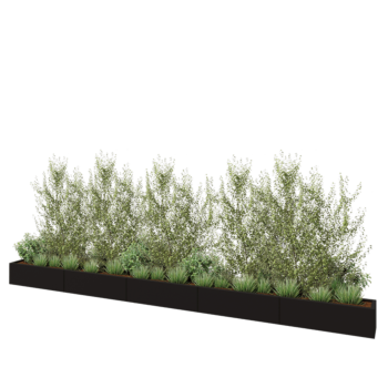 Stalen plantenbak XXL - Rechthoek - 500 x 30 x 30 cm - RAL9005 mat (zwart) - Zonder bodemplaat