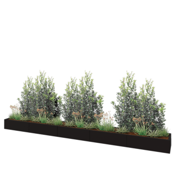 Stalen plantenbak XXL - Rechthoek - 500 x 50 x 30 cm - RAL9005 mat (zwart) - Met bodemplaat