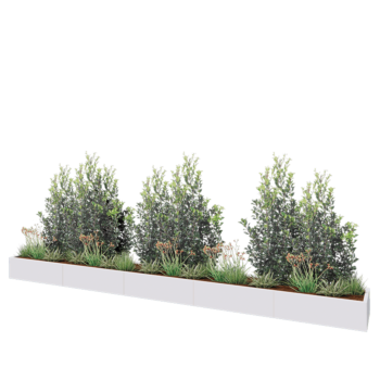 Stalen plantenbak XXL - Rechthoek - 500 x 50 x 30 cm - RAL9010 mat (wit) - Zonder bodemplaat