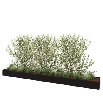 Stalen plantenbak XXL - Rechthoek - 500 x 60 x 30 cm - RAL9005 mat (zwart) - Met bodemplaat