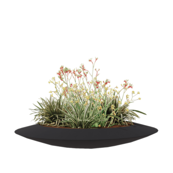 Polyester plantenbak - Schaal - Ø 120 x 20 cm - RAL7021 mat (zwartgrijs) - Met bodem