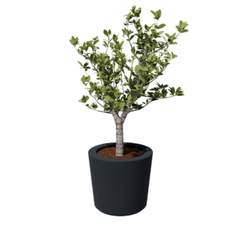 Polyester plantenbak - Conisch - Ø 63 x 52 cm - RAL7021 mat (zwartgrijs) - Met bodem