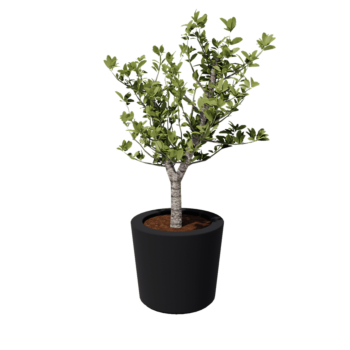 Polyester plantenbak - Conisch - Ø 63 x 52 cm - RAL7021 mat (zwartgrijs) - Met bodem