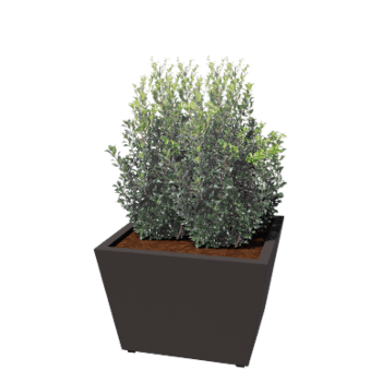 Stalen plantenbak - Cone - 80 x 80 x 51,5 cm - Gelast - RAL7016 mat (antraciet grijs) - Met bodemplaat