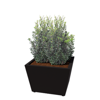 Stalen plantenbak - Cone - 80 x 80 x 51,5 cm - Gelast - RAL9005 mat (zwart) - Met bodemplaat