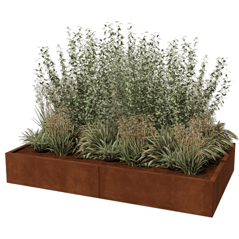 Cortenstaal plantenbak Texas xxl 200 x 120 cm
