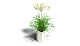Gepoedercoat staal plantenbak Chicago 200