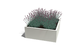 Gepoedercoat staal plantenbak Miami 1000x1000