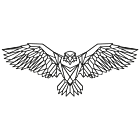 Metalen wanddecoratie Eagle