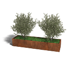 Cortenstaal plantenbak Texas xxl 240 x 60 cm
