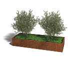 Cortenstaal plantenbak Texas xxl 240 x 80 cm